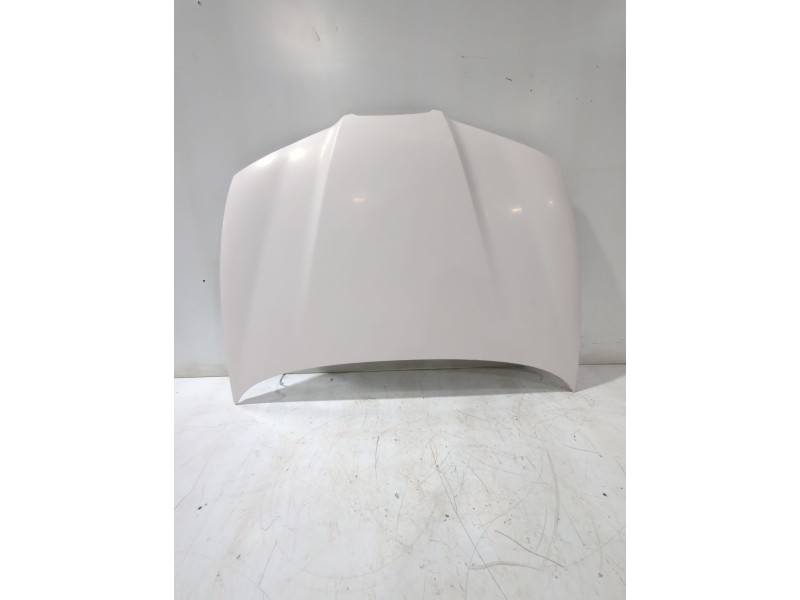 Recambio de capot para seat ibiza iii (6l1) 1.4 tdi referencia OEM IAM 6L0823031D  