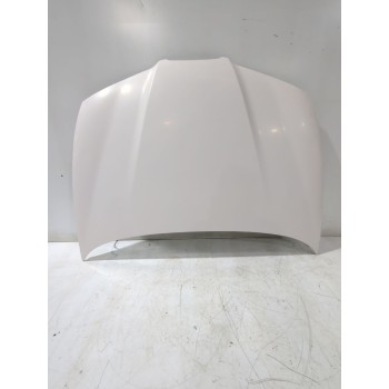 Recambio de capot para seat ibiza iii (6l1) 1.4 tdi referencia OEM IAM 6L0823031D  