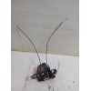 Recambio de cerradura puerta trasera derecha para toyota auris (_e15_) 1.33 dual-vvti (nre150_) referencia OEM IAM 6905002180  