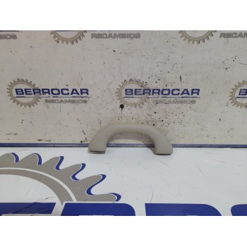 ASIDERO TECHO 1P0857607 