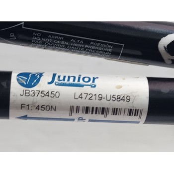 Recambio de amortiguadores capo para kia carnival ii 2.9 crdi lx referencia OEM IAM JB375450  