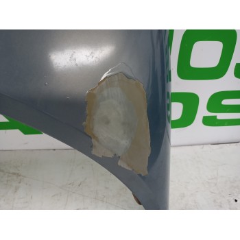 Recambio de capot para renault scenic ii grand emotion referencia OEM IAM 651001097R  