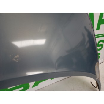 Recambio de capot para renault scenic ii grand emotion referencia OEM IAM 651001097R  