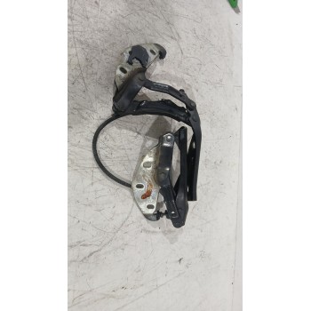 BISAGRAS CAPOT 3D0823302D 