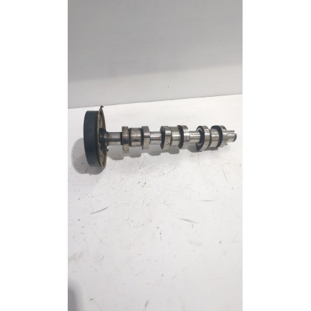 Recambio de arbol de levas para seat ibiza iii (6l1) 1.4 tdi referencia OEM IAM 045109239B  