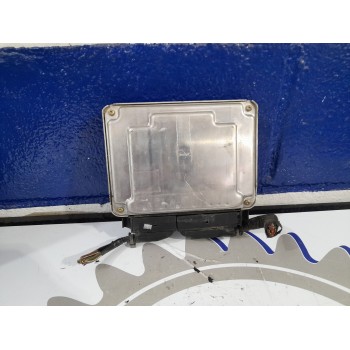 Recambio de centralita motor uce para seat leon (1m1) 1.9 tdi referencia OEM IAM 038906012BS  