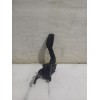 Recambio de pedal acelerador para nissan micra v (k14) 1.5 dci referencia OEM IAM 6PV0025FA0B  