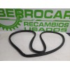 Recambio de goma contorno para seat ibiza (6l1) 1.4 tdi cat (bnm) referencia OEM IAM 6L3867366G  