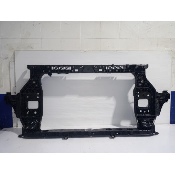 PANEL FRONTAL 64101R2000 