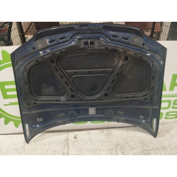 Recambio de capot para volkswagen passat berlina (3b3) 1.6 referencia OEM IAM 3B0010284G  