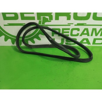 Recambio de gomas contorno puerta para citroën c4 picasso 1.6 16v hdi fap referencia OEM IAM 902485  