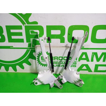 Recambio de bisagras capot para renault scenic iii xmod bose referencia OEM IAM 654000004R  