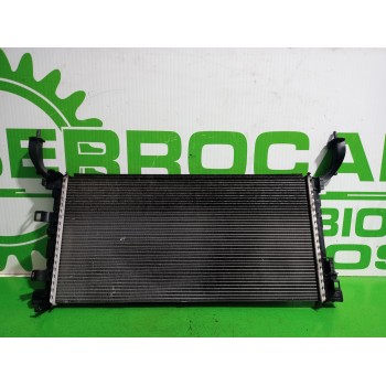 Recambio de radiador agua para renault laguna grandtour iii renault laguna iii grandtour referencia OEM IAM H9488005  