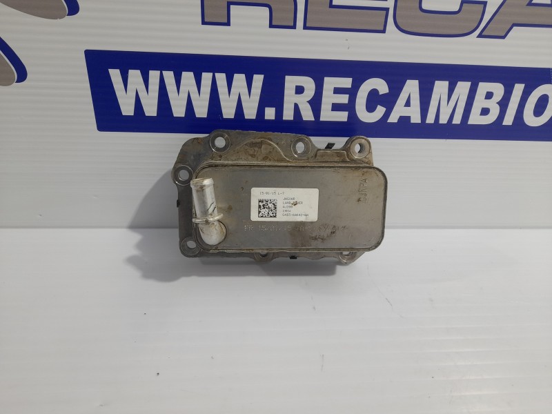 Recambio de enfriador aceite motor para jaguar xe 2.0 diesel cat referencia OEM IAM G4D36A642AA  