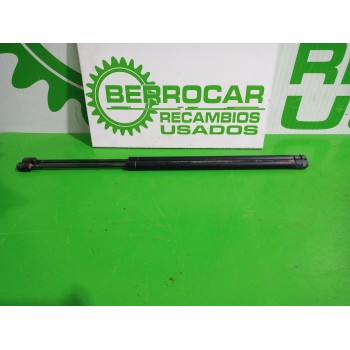 AMORTIGUADORES MALETERO / PORTON 8731N9 