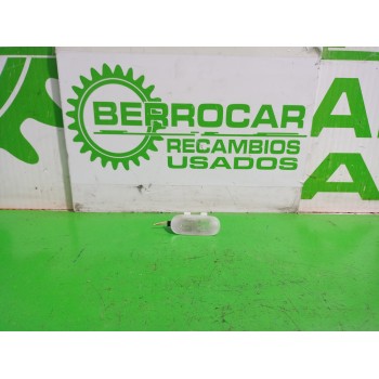LUZ INTERIOR 7701207768 