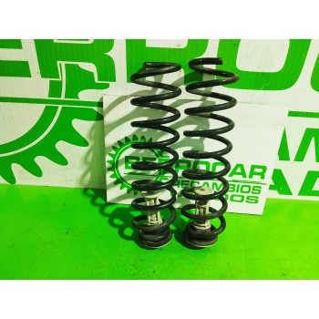 MUELLE AMORTIGUACION 8200040087 