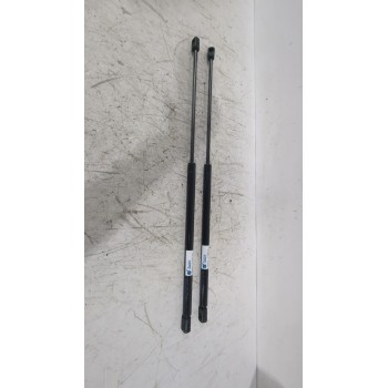 AMORTIGUADORES MALETERO / PORTON 8731N1 