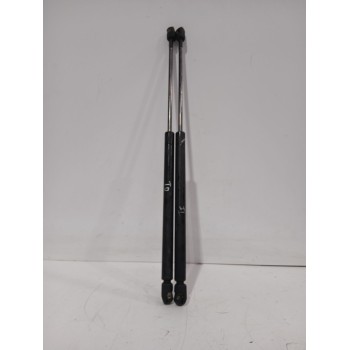 AMORTIGUADORES MALETERO / PORTON 41626801258 