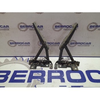 Recambio de bisagras capot para opel insignia berlina 2.0 16v cdti referencia OEM IAM 13248765  