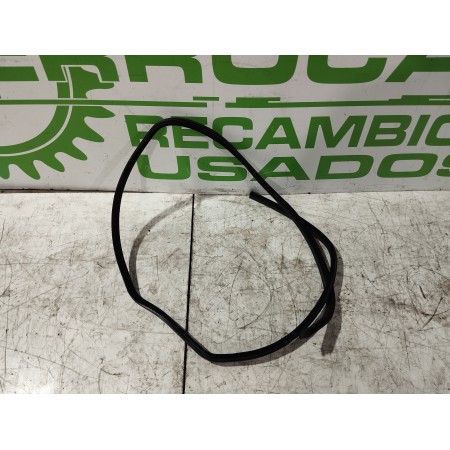 Recambio de gomas contorno puerta para bmw serie 3 touring (e91) 2.0 16v referencia OEM IAM 7119966  