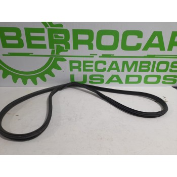 Recambio de goma contorno para citroën c4 sedan 1.6 16v cat (nfu / tu5jp4) referencia OEM IAM 9676258980  