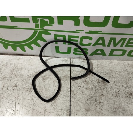 Recambio de gomas contorno puerta para bmw serie 3 touring (e91) 2.0 16v referencia OEM IAM 7119966  