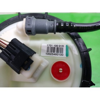 Recambio de aforador para renault laguna grandtour iii renault laguna iii grandtour referencia OEM IAM 10025460100  