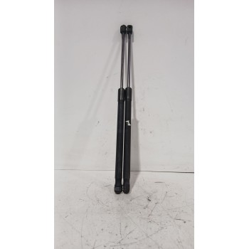 AMORTIGUADORES MALETERO / PORTON 13220159 