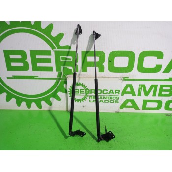 AMORTIGUADORES MALETERO / PORTON 904501KA1B 