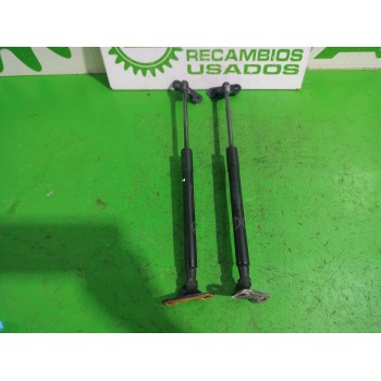AMORTIGUADORES MALETERO / PORTON 6896002170 