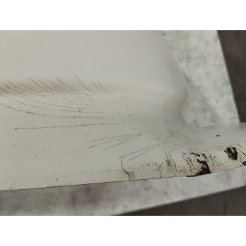 Recambio de techo cabina para nissan cabstar e 3.0 diesel referencia OEM IAM 3513AZ-143  