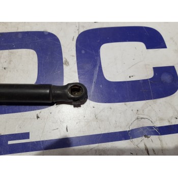 Recambio de amortiguadores maletero / porton para ford fusion (cbk) referencia OEM IAM 2N11N406A10AD  