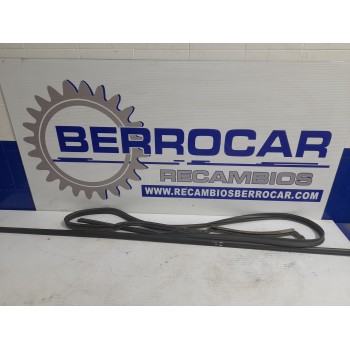 GOMAS CONTORNO PUERTA 13157483 