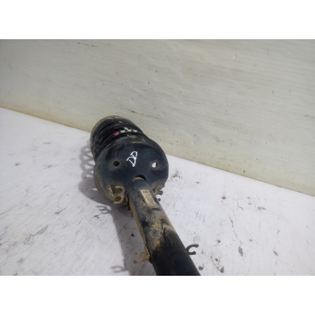 Recambio de amortiguador delantero derecho para seat leon (1m1) stella referencia OEM IAM 1J0413031T  