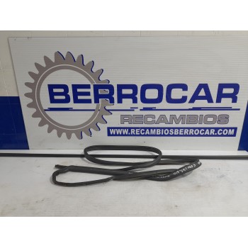 GOMAS CONTORNO PUERTA 13157482 