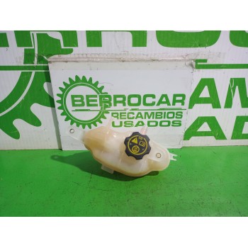 DEPOSITO EXPANSION 39007213 