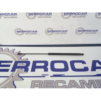 AMORTIGUADORES MALETERO / PORTON 50509830 