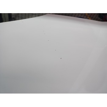 Recambio de capot para seat ibiza (6k1) select referencia OEM IAM 6K0823031B  