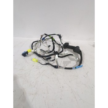 CABLEADO PUERTA 8215242K90 