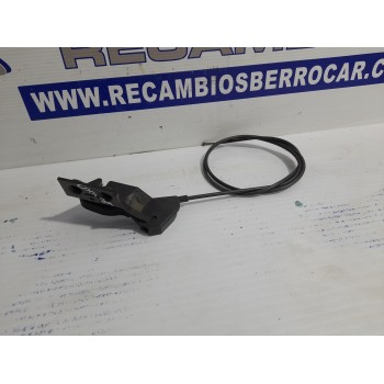 MANETA CAPO 13186912 