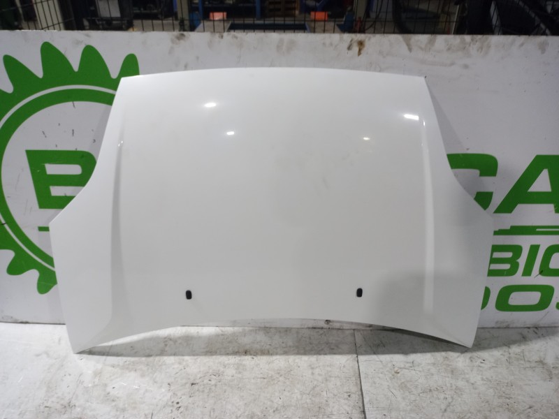 Recambio de capot para ford fiesta (cbk) ambiente referencia OEM IAM 1531070  