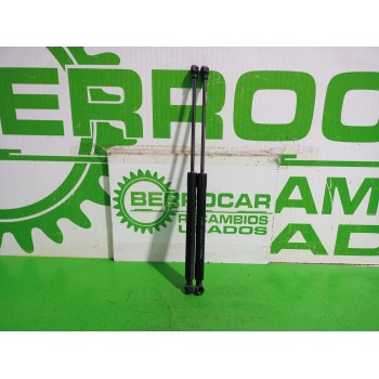 AMORTIGUADORES MALETERO / PORTON 904529943R 