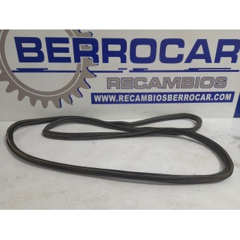 GOMAS CONTORNO PUERTA 13157483 