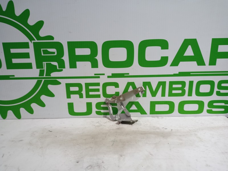 Recambio de bisagras capot para renault scenic ii 1.9 dci diesel referencia OEM IAM 81663G  