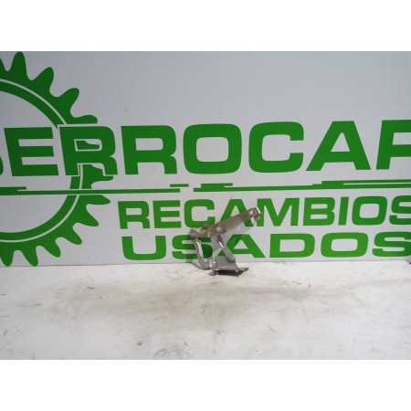 Recambio de bisagras capot para renault scenic ii 1.9 dci diesel referencia OEM IAM 81663G  