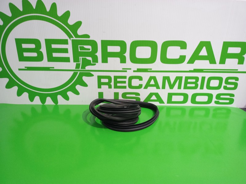 Recambio de gomas contorno puerta para renault scenic ii 1.9 dci diesel referencia OEM IAM 8200077500  