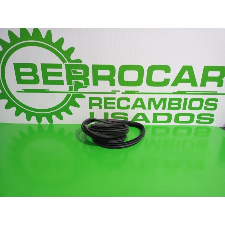 Recambio de gomas contorno puerta para renault scenic ii 1.9 dci diesel referencia OEM IAM 8200077500  