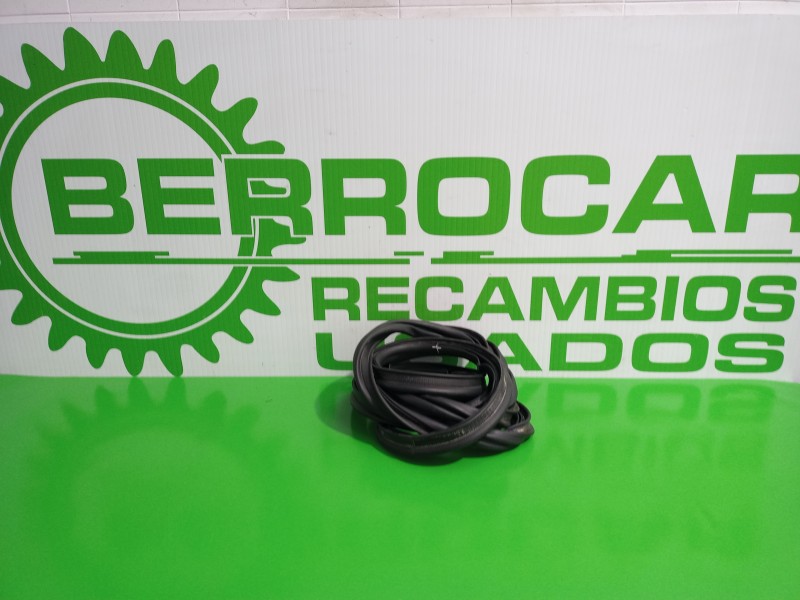 Recambio de goma contorno para renault scenic ii 1.9 dci diesel referencia OEM IAM 8200097496  