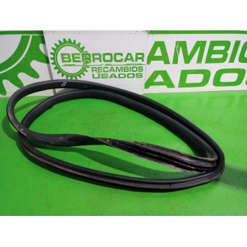 GOMA CONTORNO 808321804R 